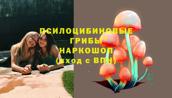 винт Покровск