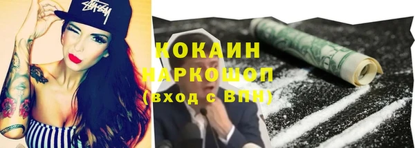 ECSTASY Покачи