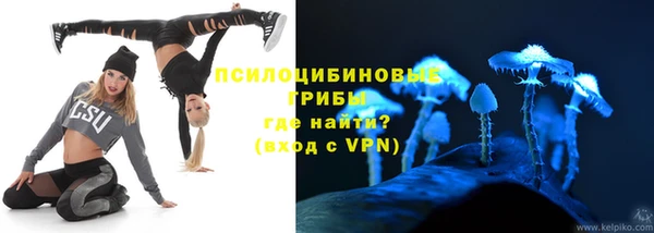 сатива Переславль-Залесский