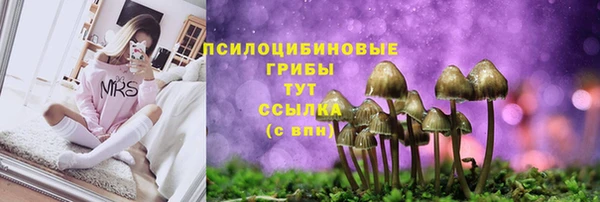 винт Покровск