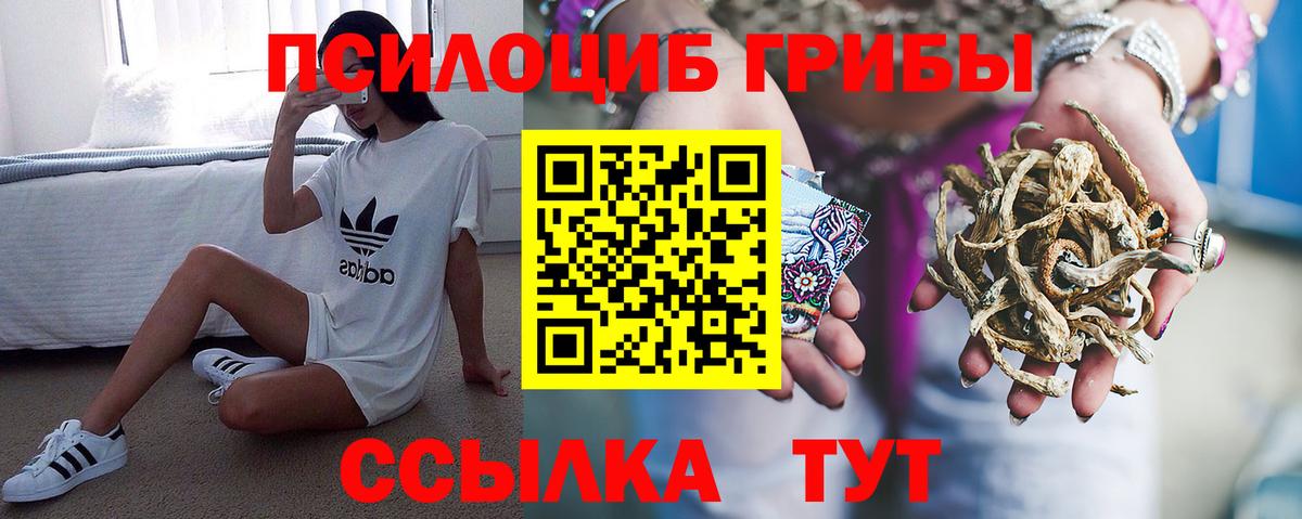 Псилоцибиновые грибы Magic Shrooms Сердобск