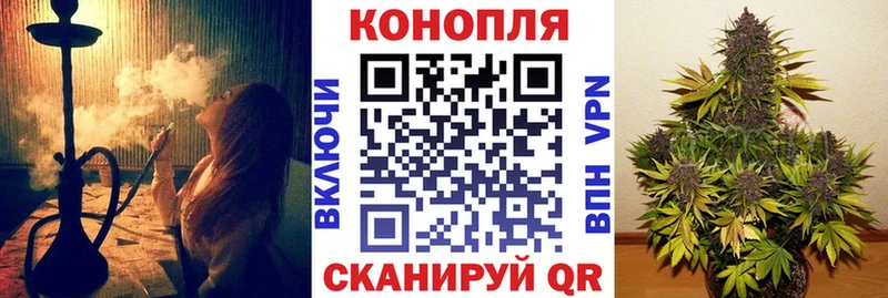 где продают   Сердобск  Конопля Bruce Banner 